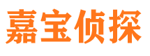 洛宁市私家侦探